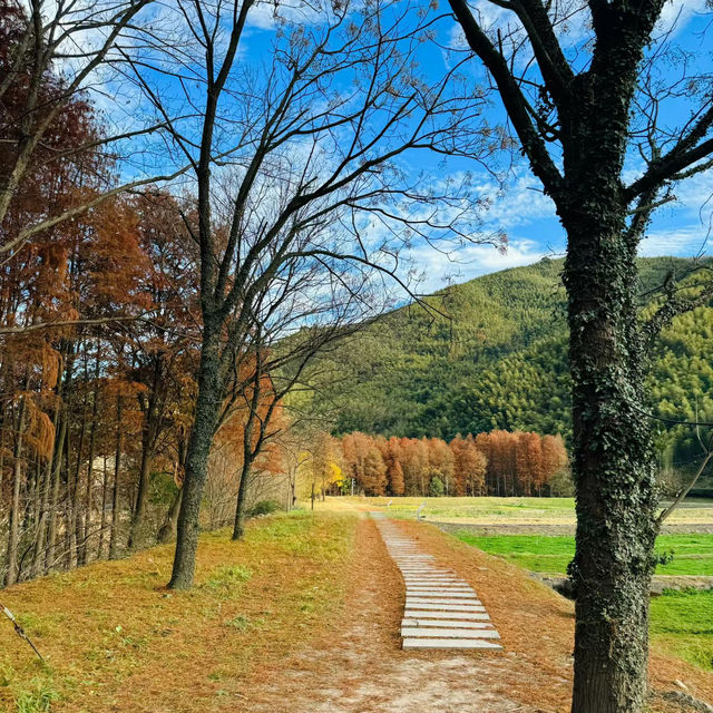 ～羊蹄山～絕美風景～