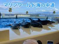 マリンワールド海の中道🐬💙🦦🐟