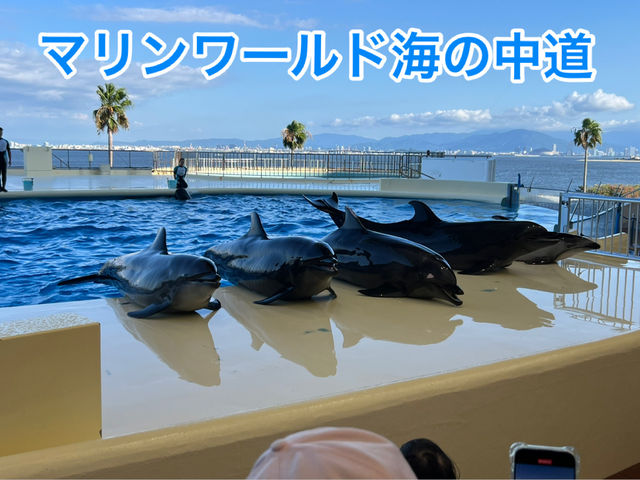 マリンワールド海の中道🐬💙🦦🐟