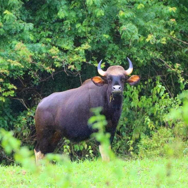อุทยานแห่งชาติกุยบุรี