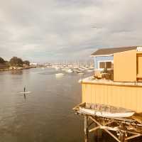 "Fresh Flavors by the Bay at Old Fishermen's Grotto"