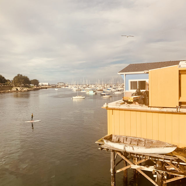 "Fresh Flavors by the Bay at Old Fishermen's Grotto"