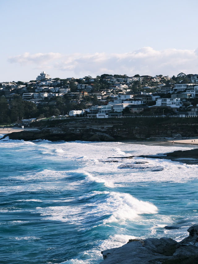 🇦🇺悉尼旅行·屬於悉尼的藍色Bondi Beach🩵