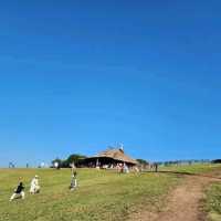 Akha Farmville 🐑