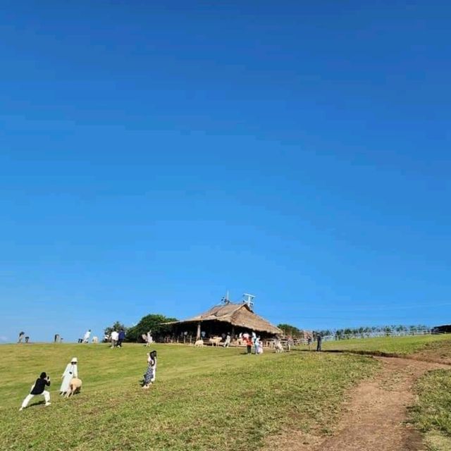Akha Farmville 🐑