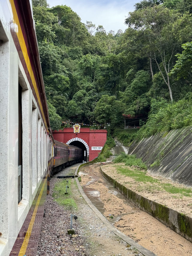 นั่งรถไฟเชียงใหม่-แพร่ | ฤดูฝน 🚃⛰️🌿🌳