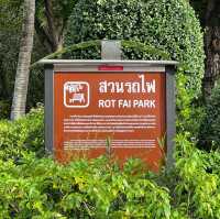 ปั่นจักรยานชมชมพูพันธุ์ทิพย์ 🚲 