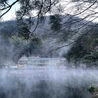 仙境之景：金麟湖