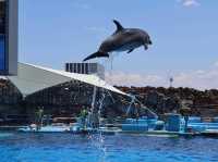 名古屋夏日避暑勝地「名古屋港水族館」