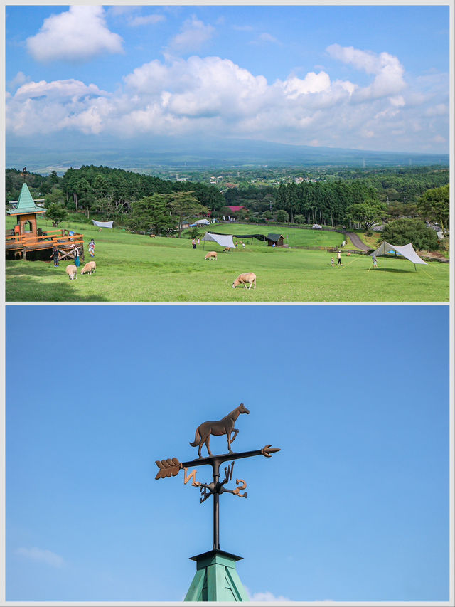 【静岡県】まかいの牧場