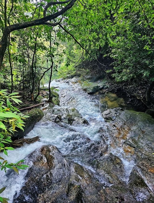 Back to nature, my favourite outdoor activity on weekend!