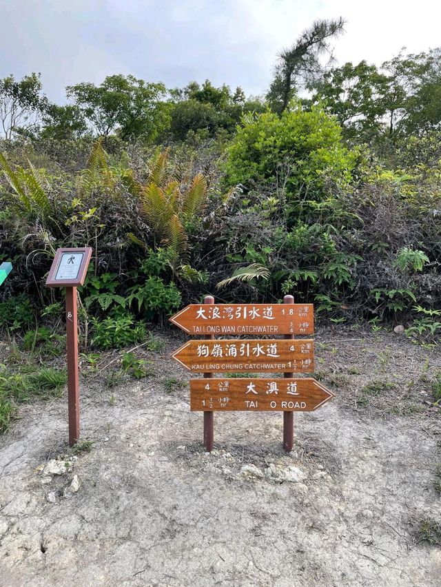 一行走三山：觀音山、羗山和靈會山