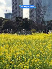 🇯🇵 Hamarikyu Gardens