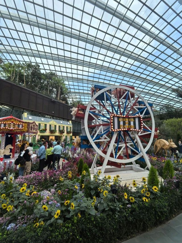 Australian Carnival of Flowers at Flower Dome