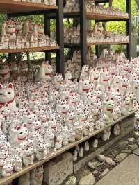 滿滿招財貓的日本豪德寺😻😻