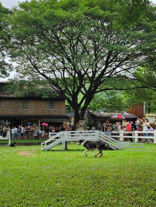 The Scenery Vintage Farm