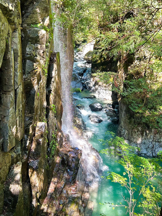 【岐阜】絶景！中津川の不動の滝で森林浴✨
