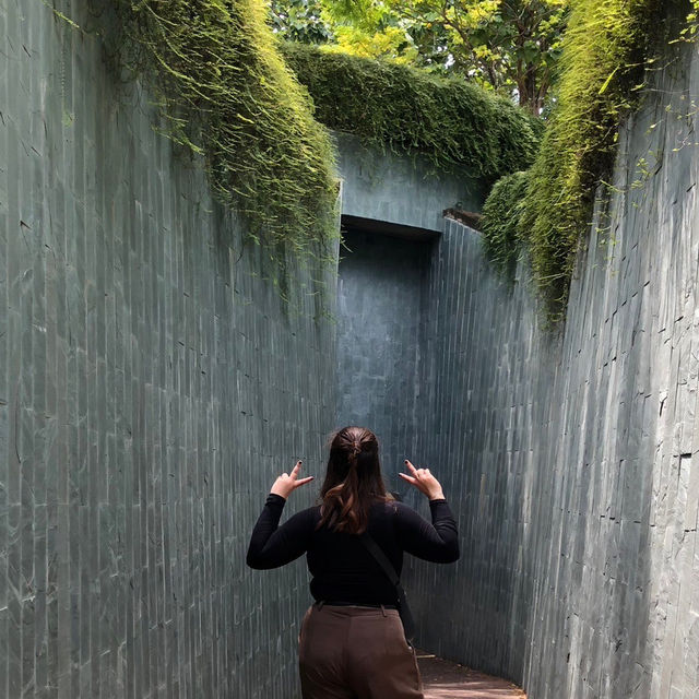 Fort Canning Tree Tunnel ✨🌳🌱