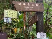 登高望遠象山行 台北美景盡收睛