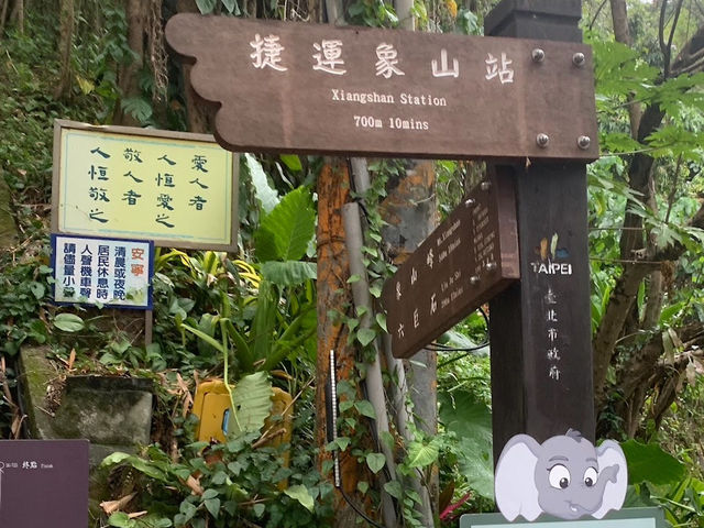 登高望遠象山行 台北美景盡收睛