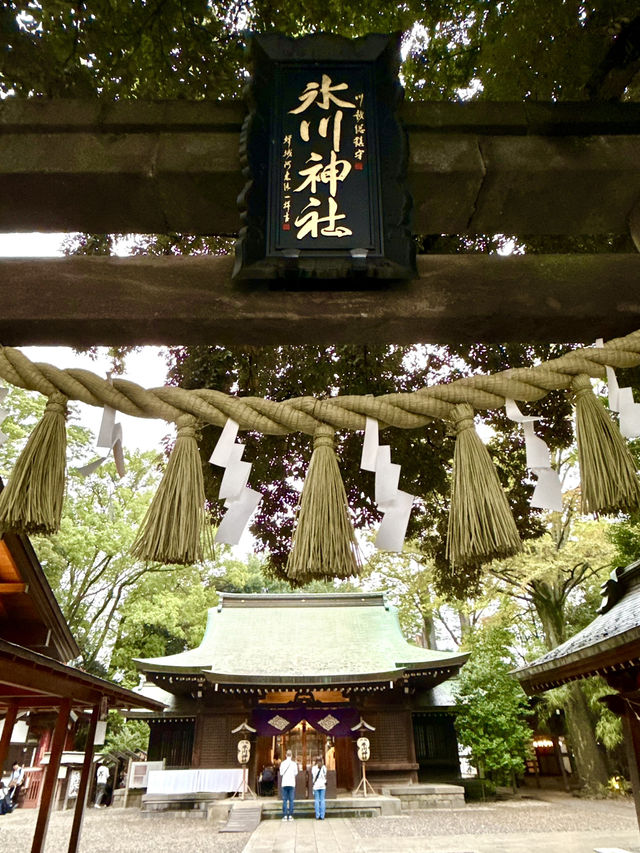 【埼玉県】秋色が展開する一年安鯛みくじ