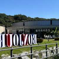 가을에는 꽃밭 