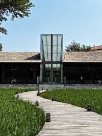 香港周邊游｜歸隱田園🌾清遠稻田咖啡館+餐廳