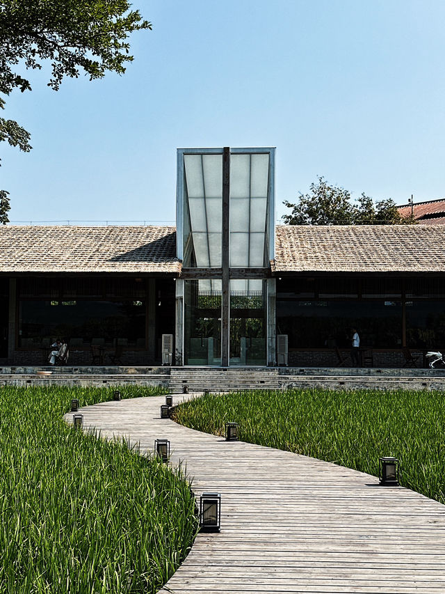 香港周邊游｜歸隱田園🌾清遠稻田咖啡館+餐廳