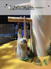 【非日常×水族館】沖縄で出会えるお魚と動物たち。DMMかりゆし水族館の魅力を伝えます🪼