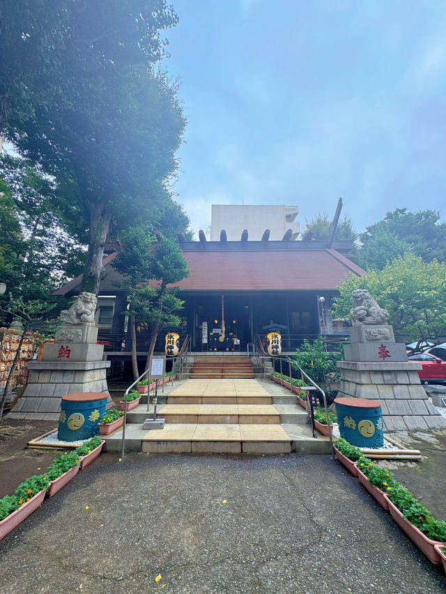 【東京】大事な日の前にここ行って!!日本で唯一の気象神社☀️