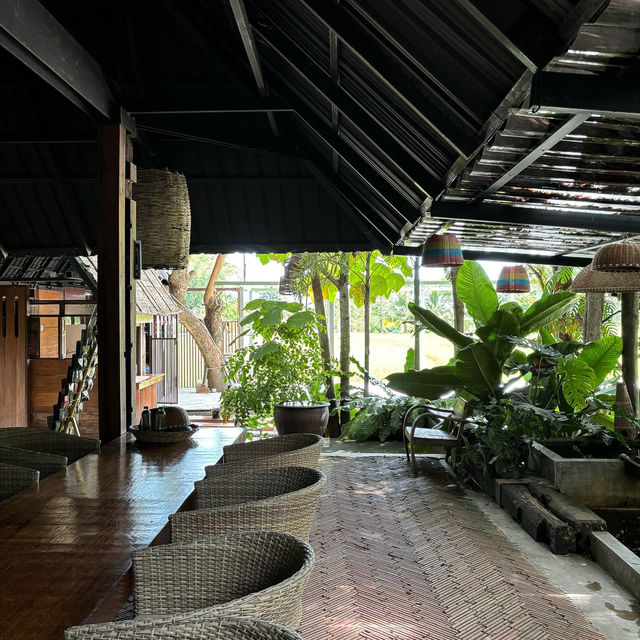 ที่พักเชียงใหม่กลางทุ่งนา 🏡🌾