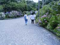 日本六月花海：靜岡縣免費景點