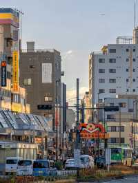 漫步巢鴨地藏通商店街，體驗東京懷舊風情🛤️🍡