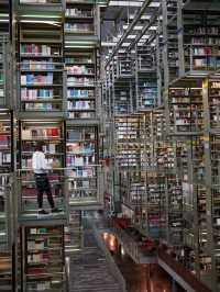 メキシコ｜死ぬまでに行きたい世界の図書館
