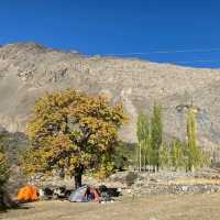 Apricot Oasis Delight: Camping in Hunza Valley