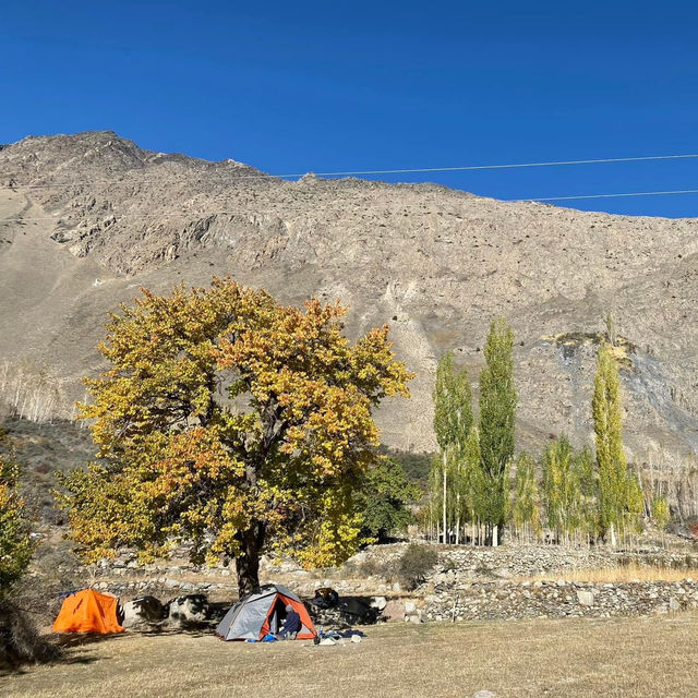 Apricot Oasis Delight: Camping in Hunza Valley