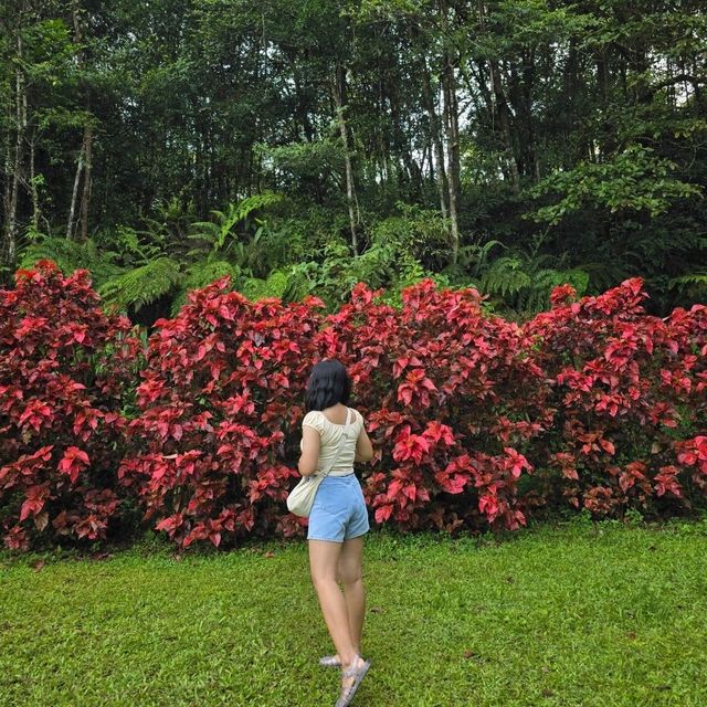 เหมืองปิล็อก เหมืองแร่ที่เคยรุ่งเรือง
