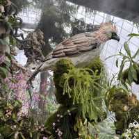 Nature's Palette: Discovering the Latest Blooms at Gardens by the Bay