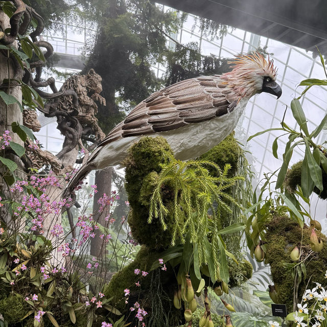 Nature's Palette: Discovering the Latest Blooms at Gardens by the Bay