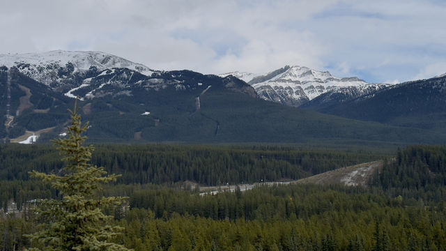 Lake Louise