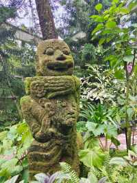 Botanic Garden in Singapore