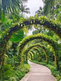 Botanic Garden in Singapore