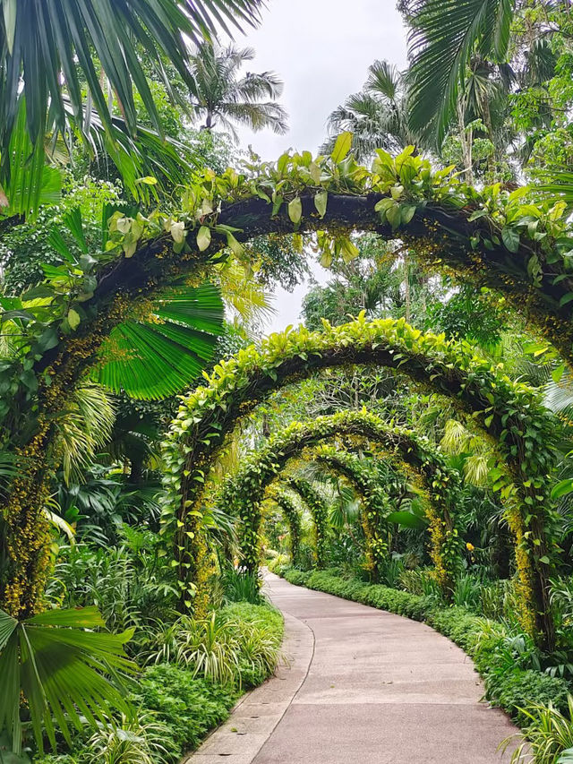 Botanic Garden in Singapore