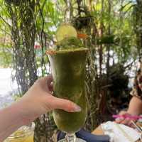 Camping in the Wild Jungle of Phuket 