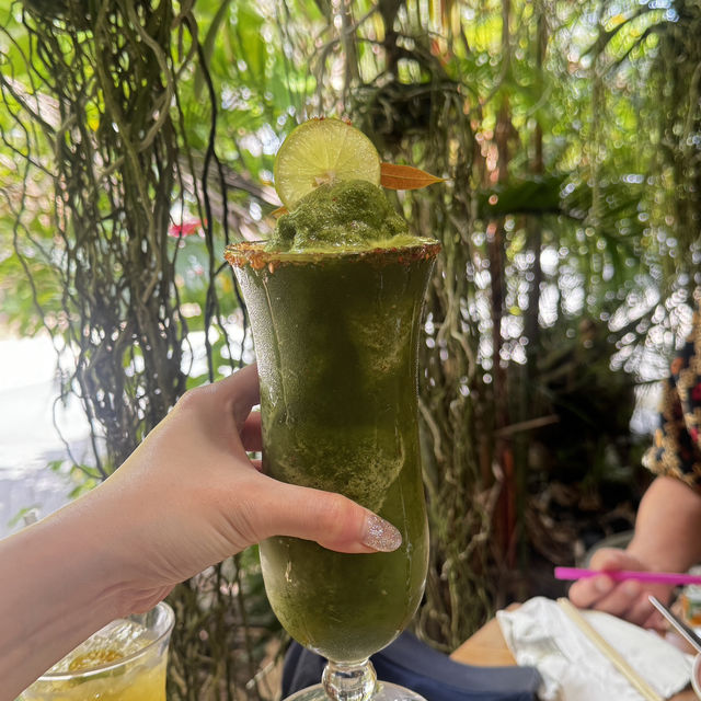 Camping in the Wild Jungle of Phuket 