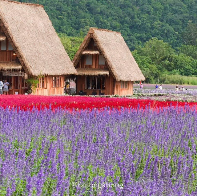 Hokkaido Flower Park Khaoyai