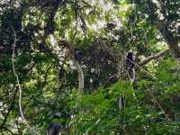 Khao Sam Roi Yot National Park 