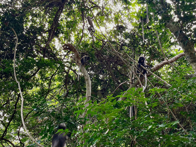 Khao Sam Roi Yot National Park 