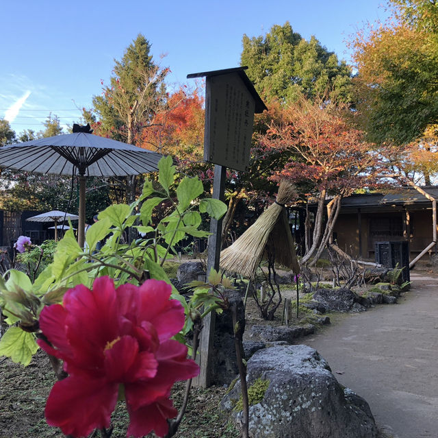 🇯🇵【島根県】由志園！！紅葉シーズンが更に美しい✨