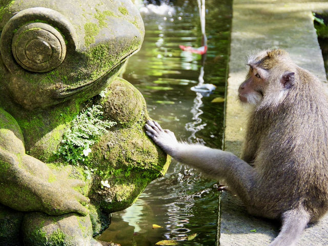 【インドネシア・バリ島】緑に癒されるウブド散策🌿